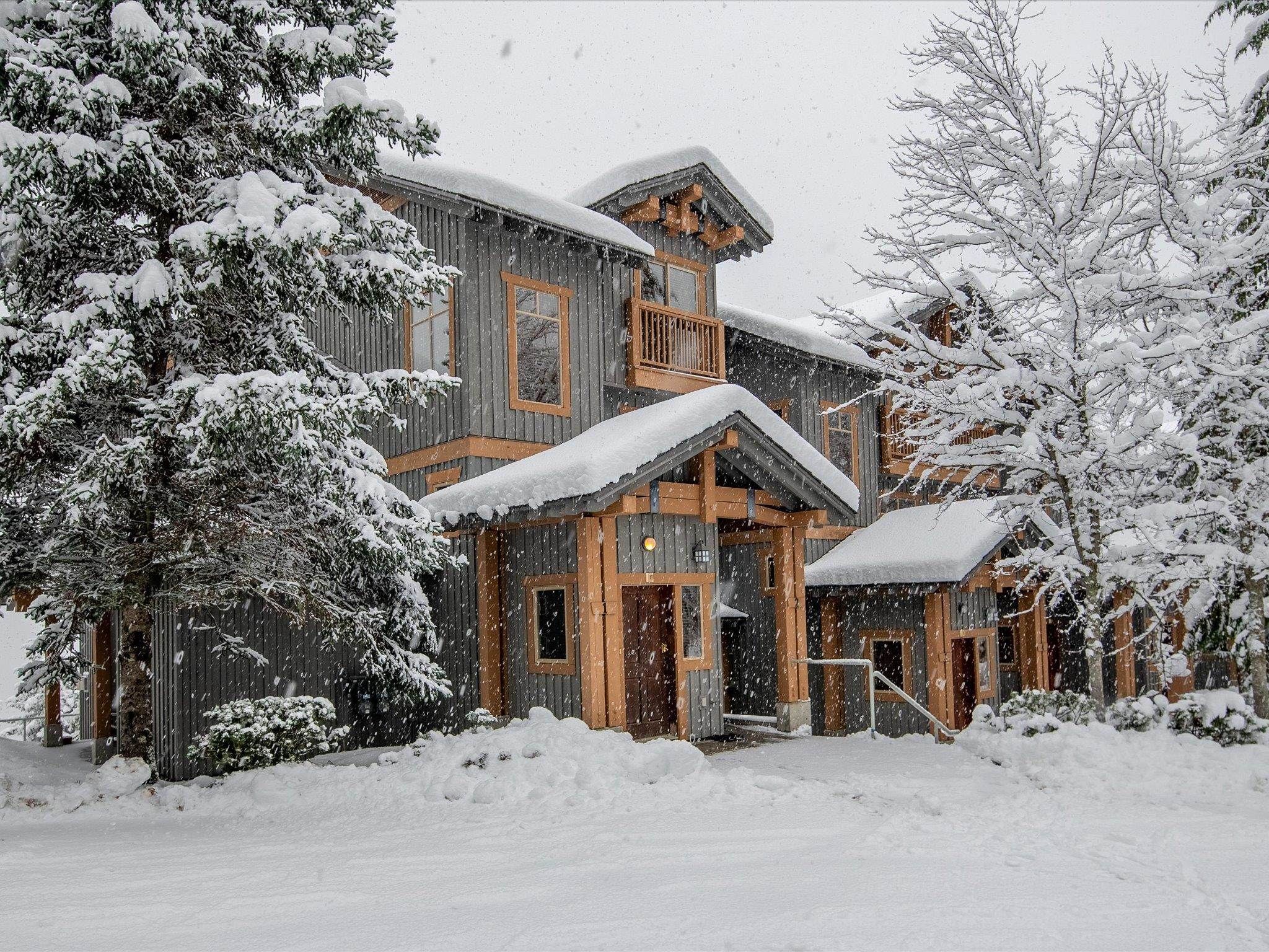 Whistler Market Stats 2025